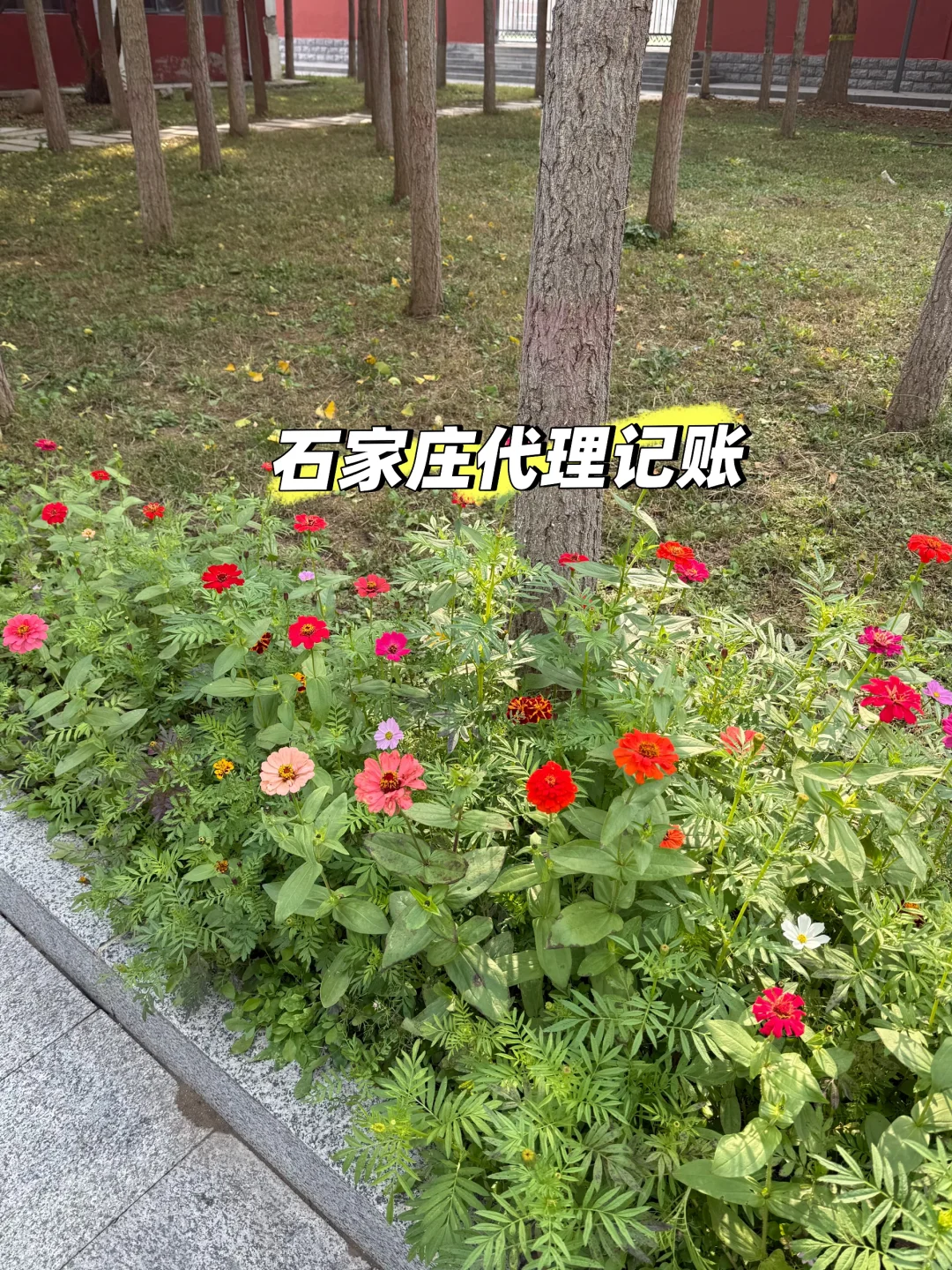 石家庄人的真实收入