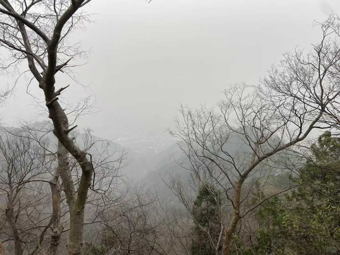 西安人的真实收入