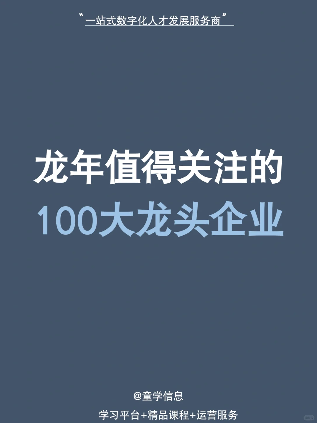 2024龙年值得关注的100大龙头企业