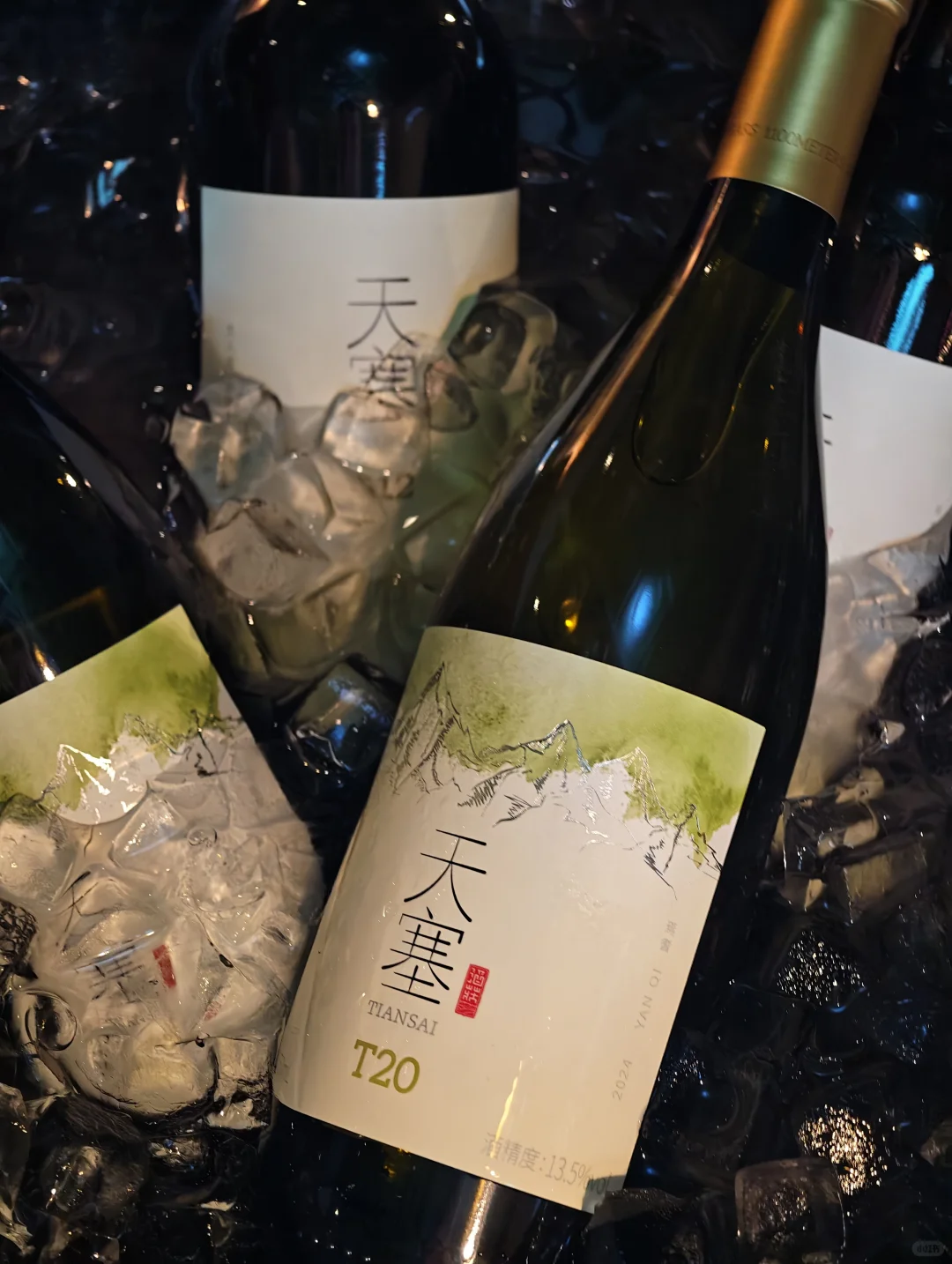 参加一场葡萄酒品鉴晚宴的plog