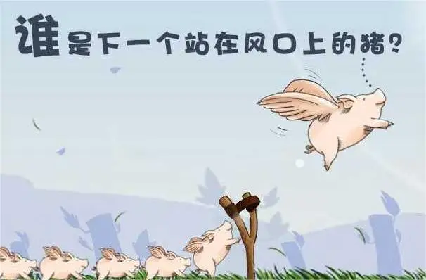 风口已过？贸易商仍可谱写辉煌新章！