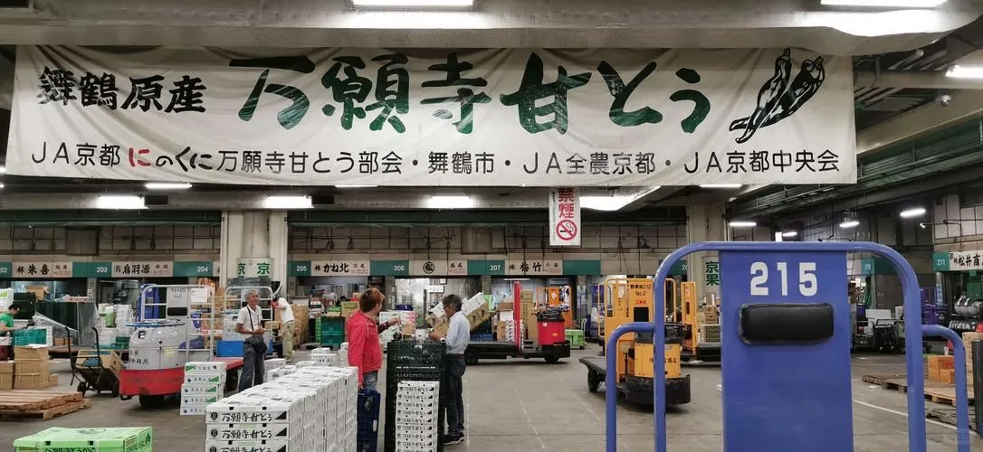 传统工厂的新出路，全新市场等着你开发