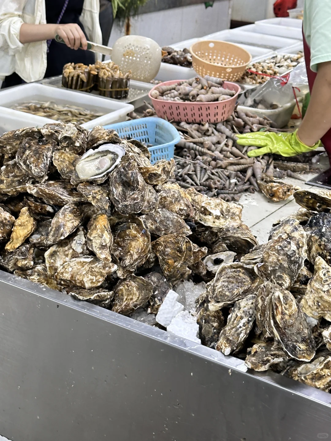 感觉住在陵水的人好幸福