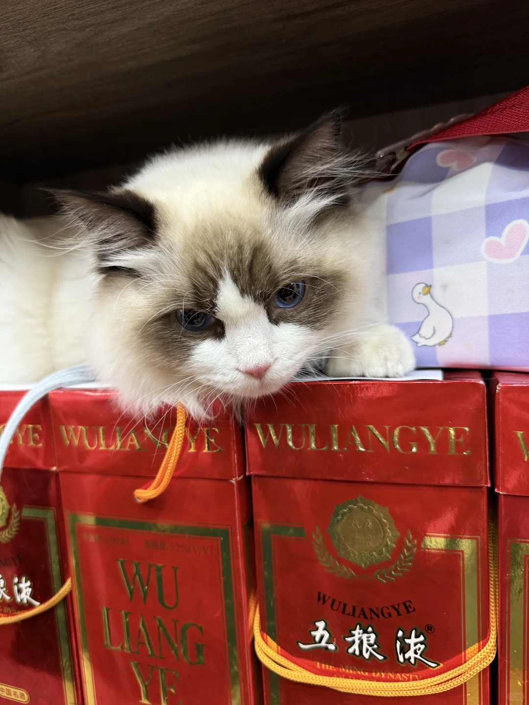 西安茅台五粮液高价回收