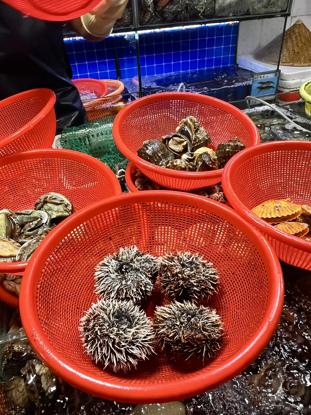 报！发现一个三亚本地人私藏的海鲜市场！