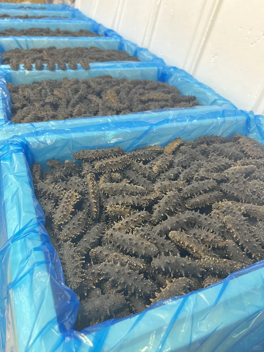 大连必买特产?防坑不踩雷（附价格表）