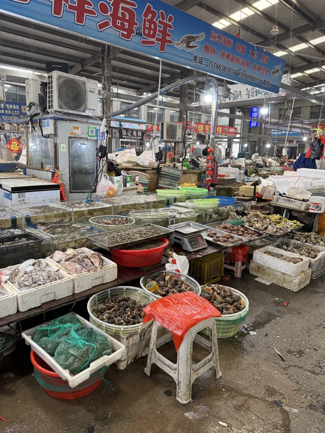 海阳· 吃点啥 农贸市场自己买海鲜加工吧?