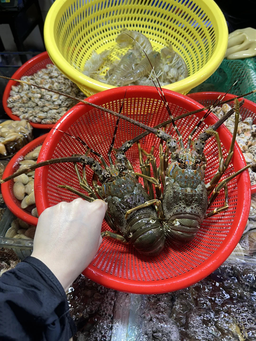 报！发现一个三亚本地人私藏的海鲜市场！