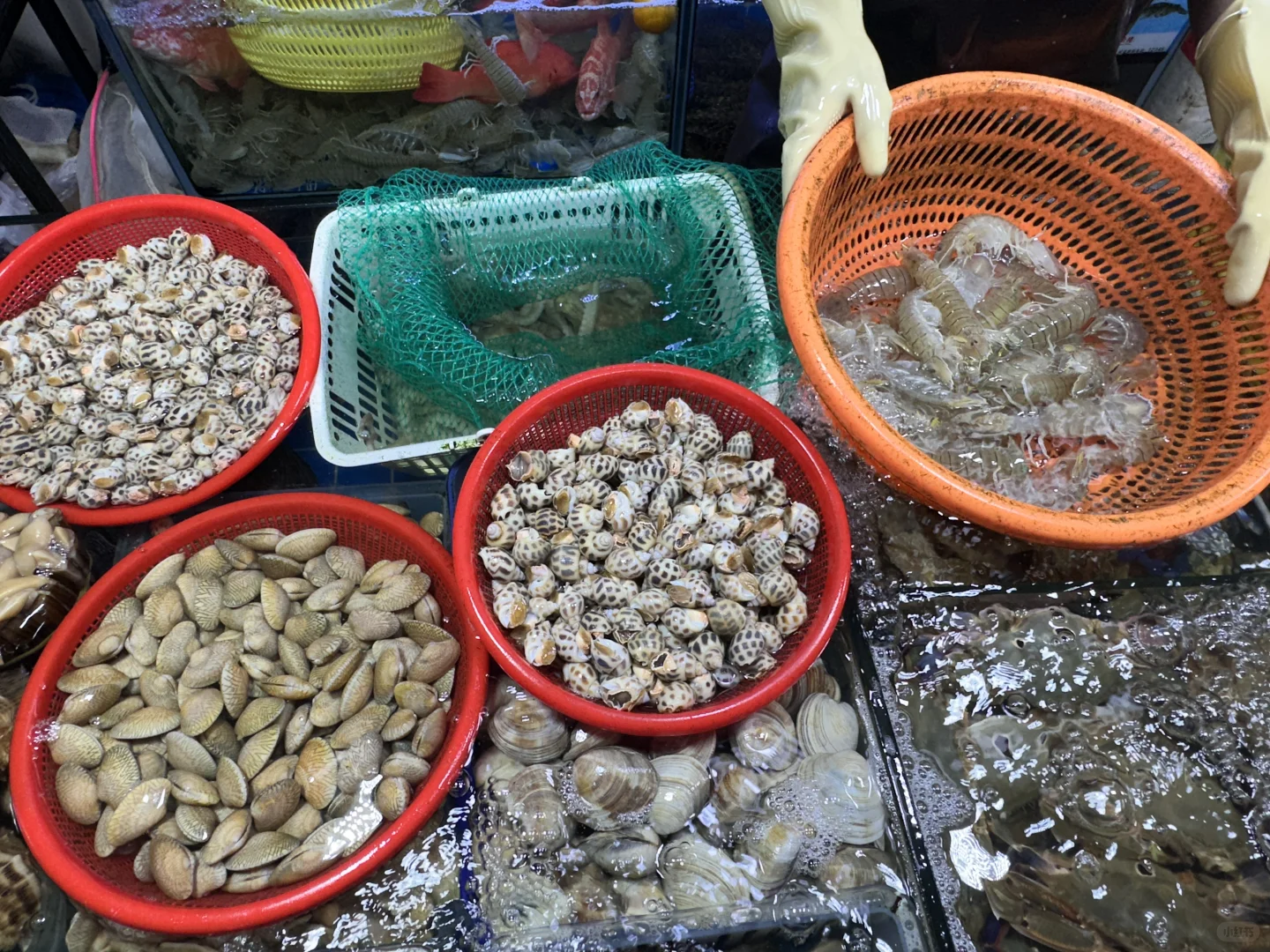 报！发现一个三亚本地人私藏的海鲜市场！