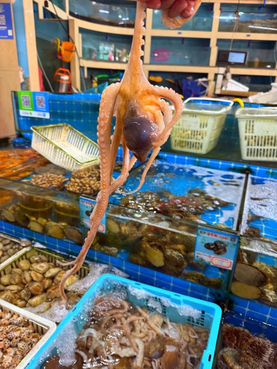 本地人推荐的这家永红川味海鲜加工！！