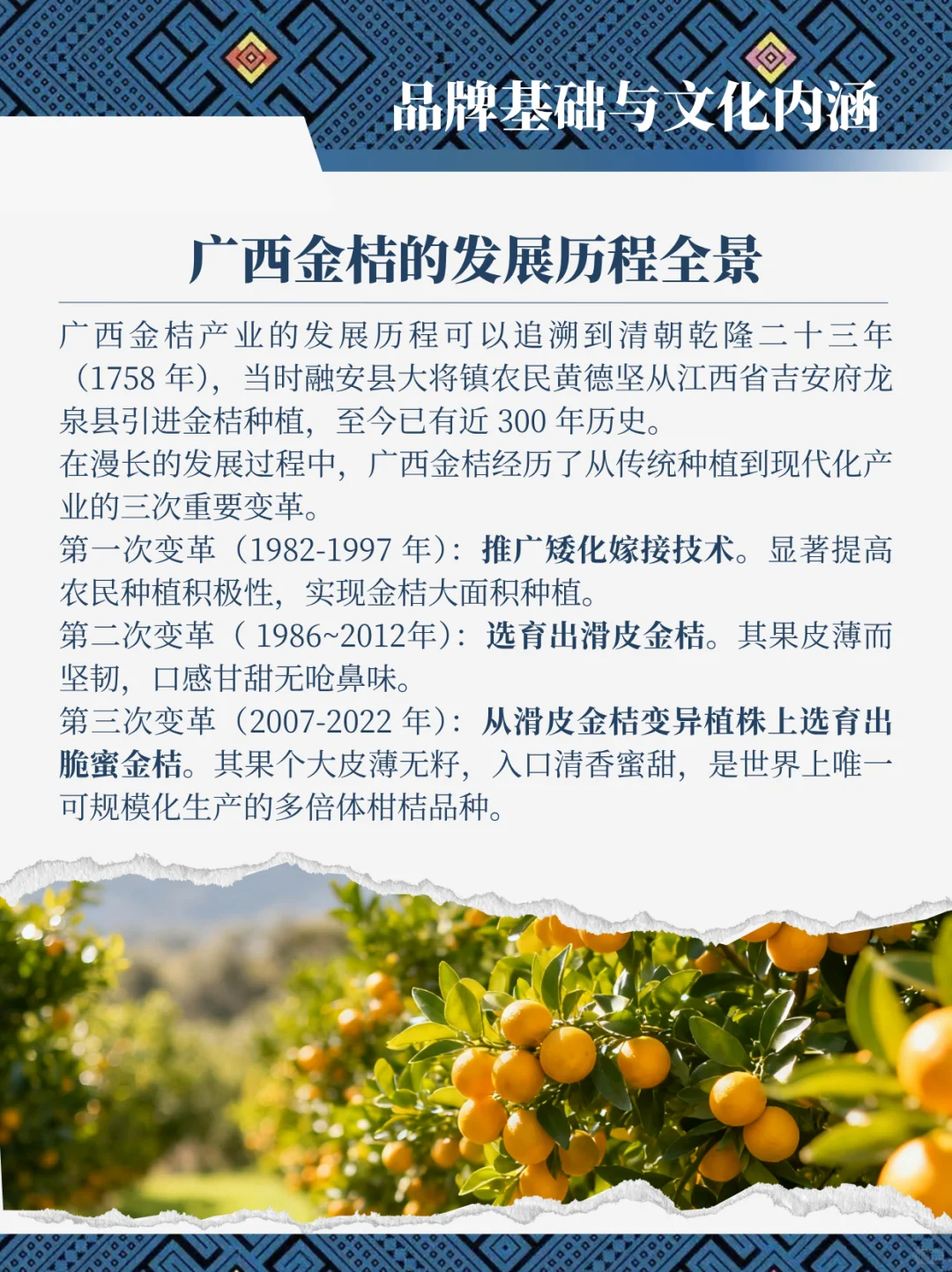 广西金桔出海 核心洞察报告