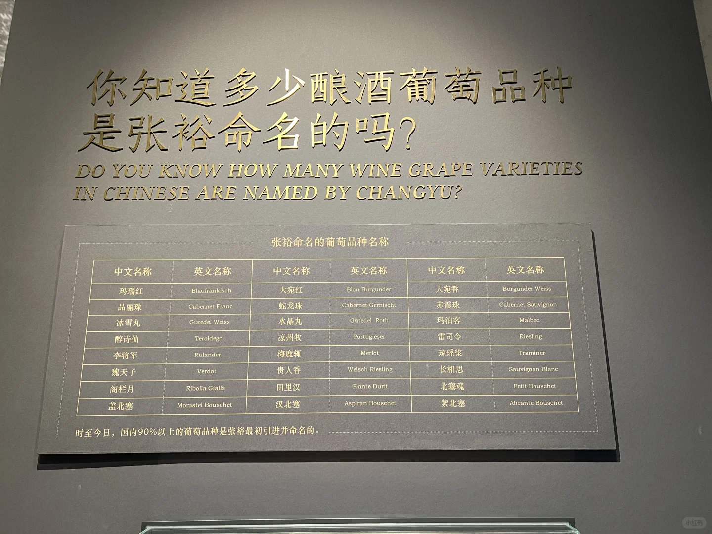 走进烟台张裕酒文化博物馆