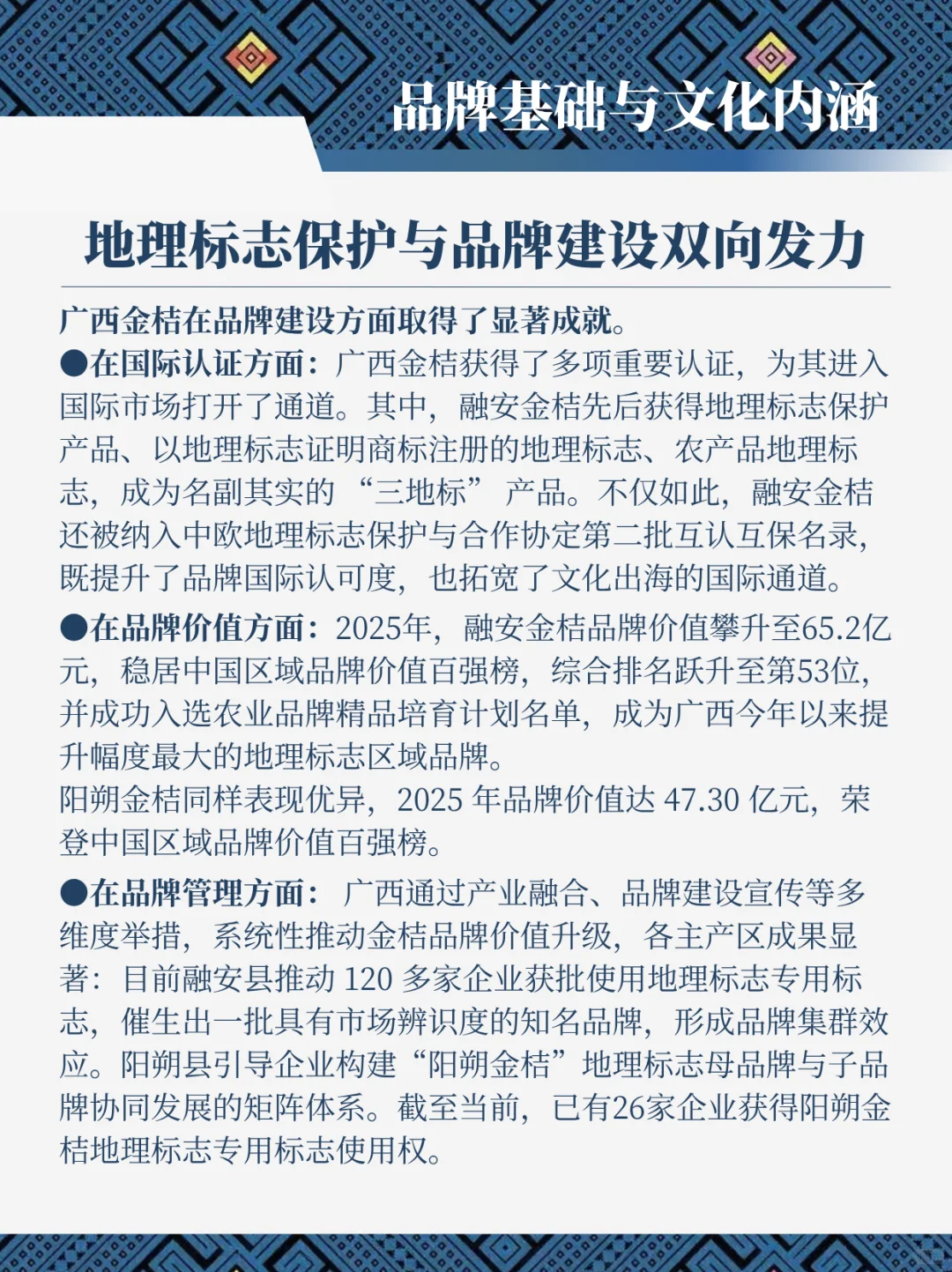 广西金桔出海 核心洞察报告