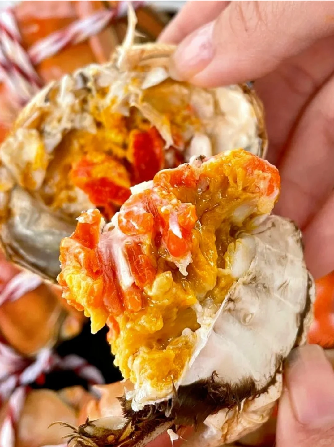 请网友们看看这份?礼怎么样？