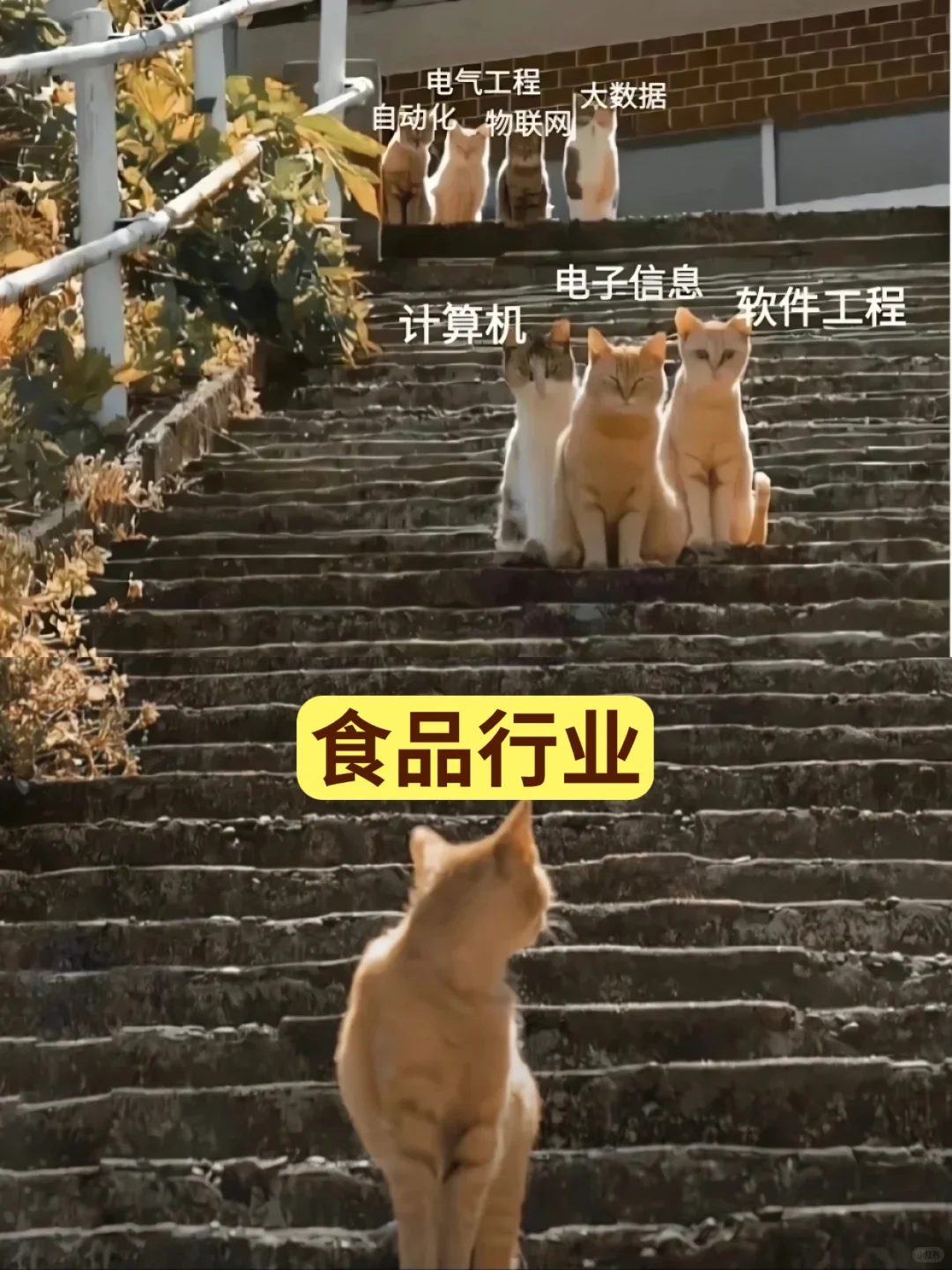 食品人的好日子来啦！！！