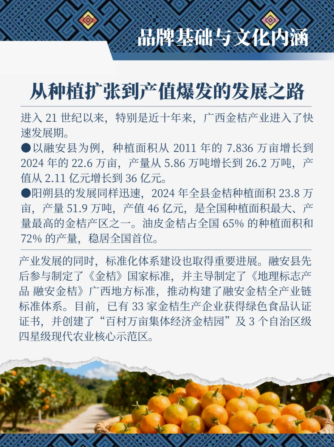 广西金桔出海 核心洞察报告