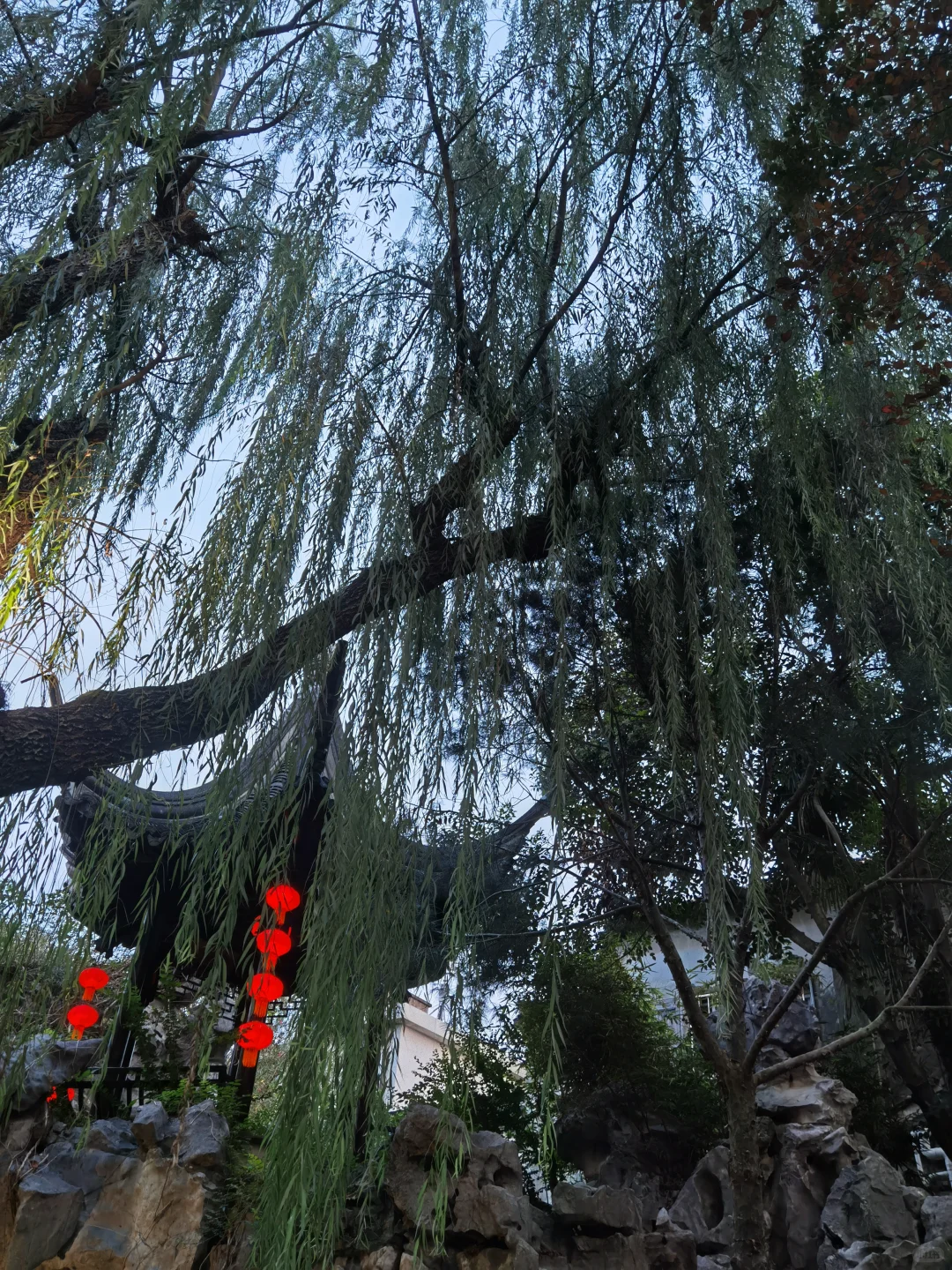 晨起“听”准规划方向