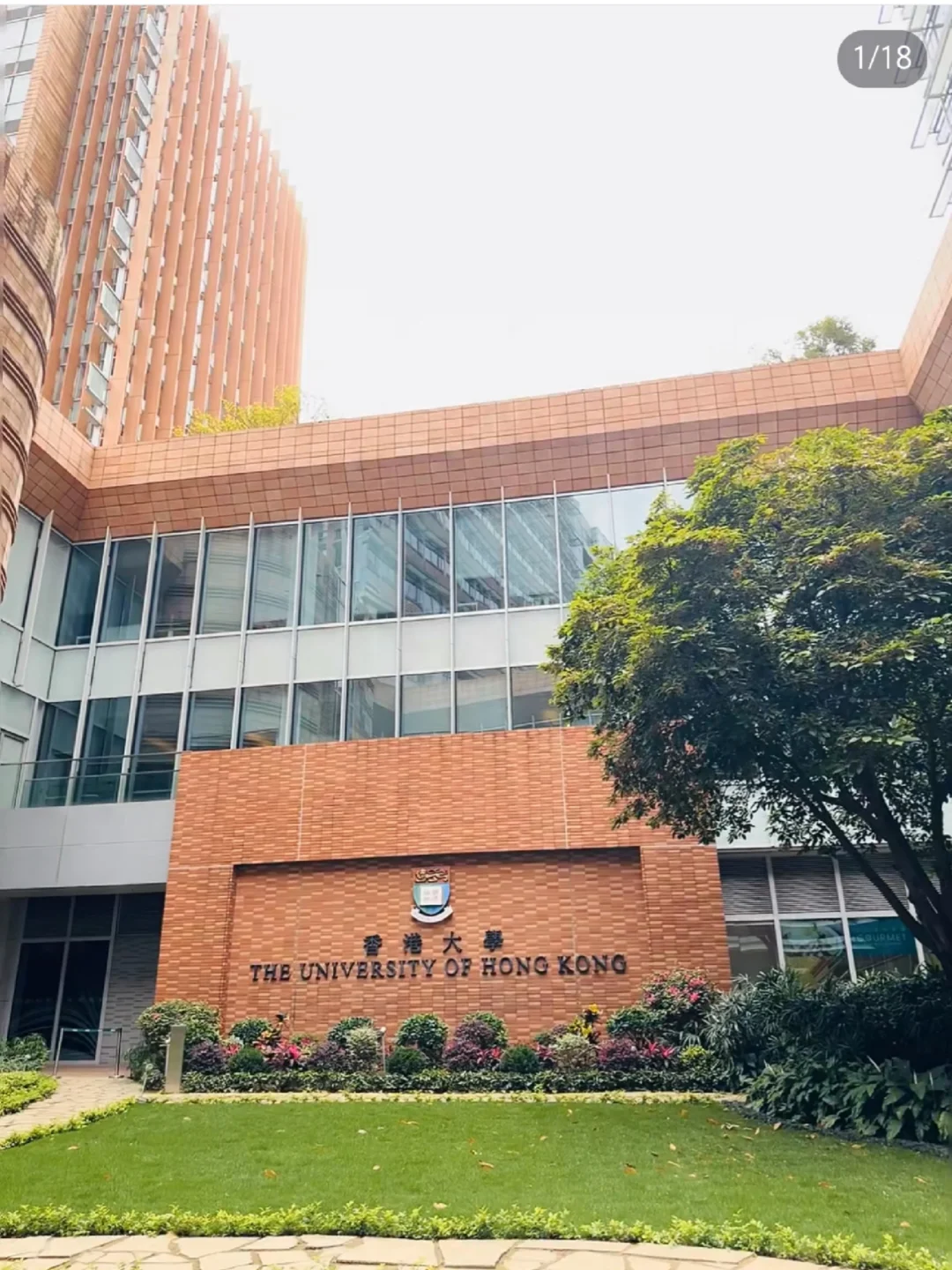 香港大学环境不适应,再见,先休学了