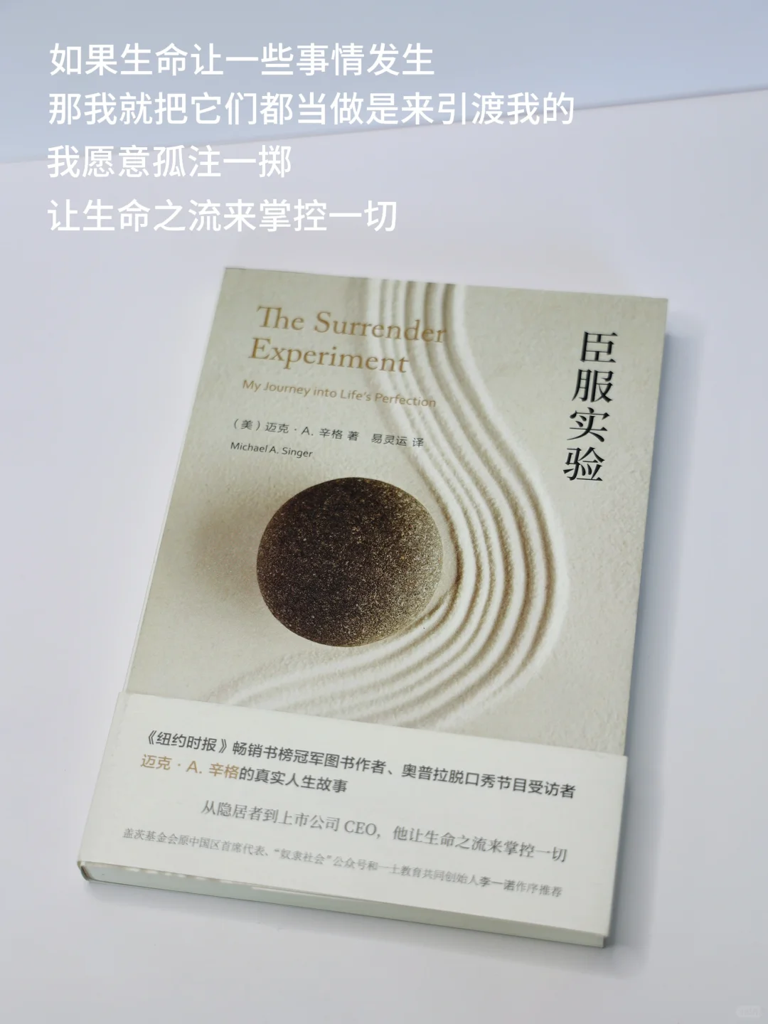 臣服实验|放下控制的执念,允许生命自然流动