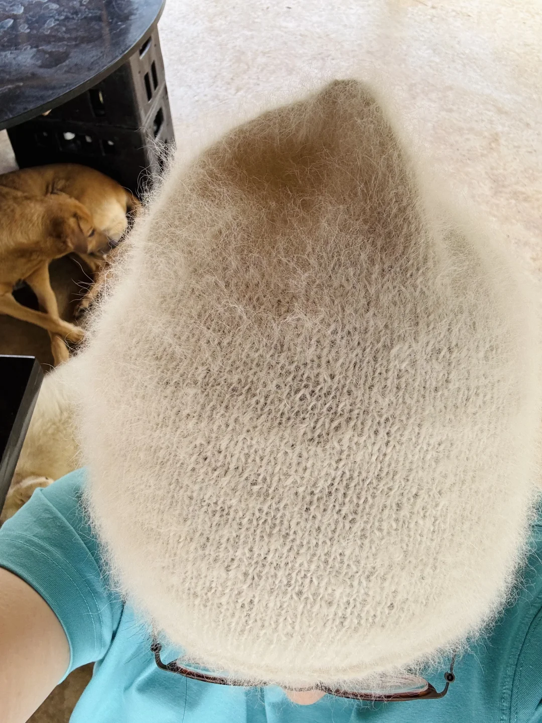 一顶绝无仅有的手纺狗绒帽子