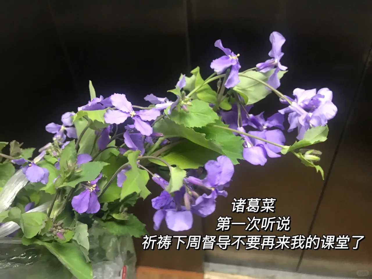 督导进入老师的在线课堂❌这三点避坑啊‼️