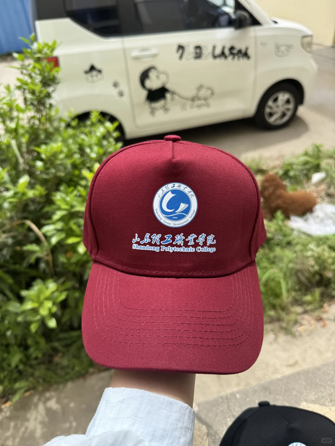 100顶打包发走✈️