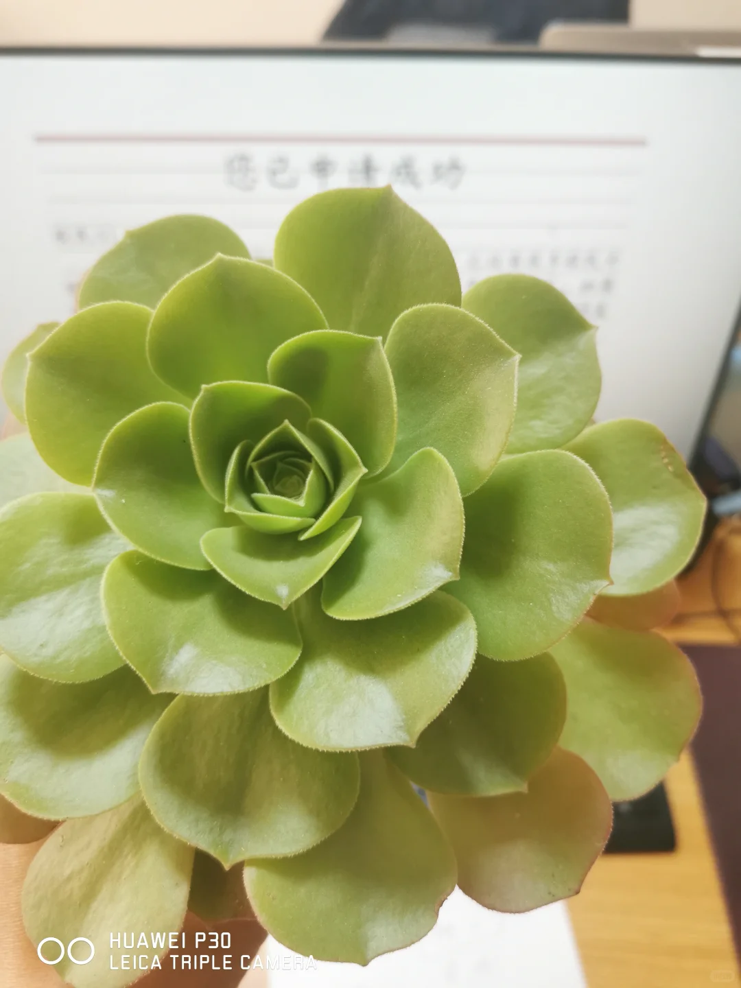 财务决算 上市企业 资本市场 分红计划