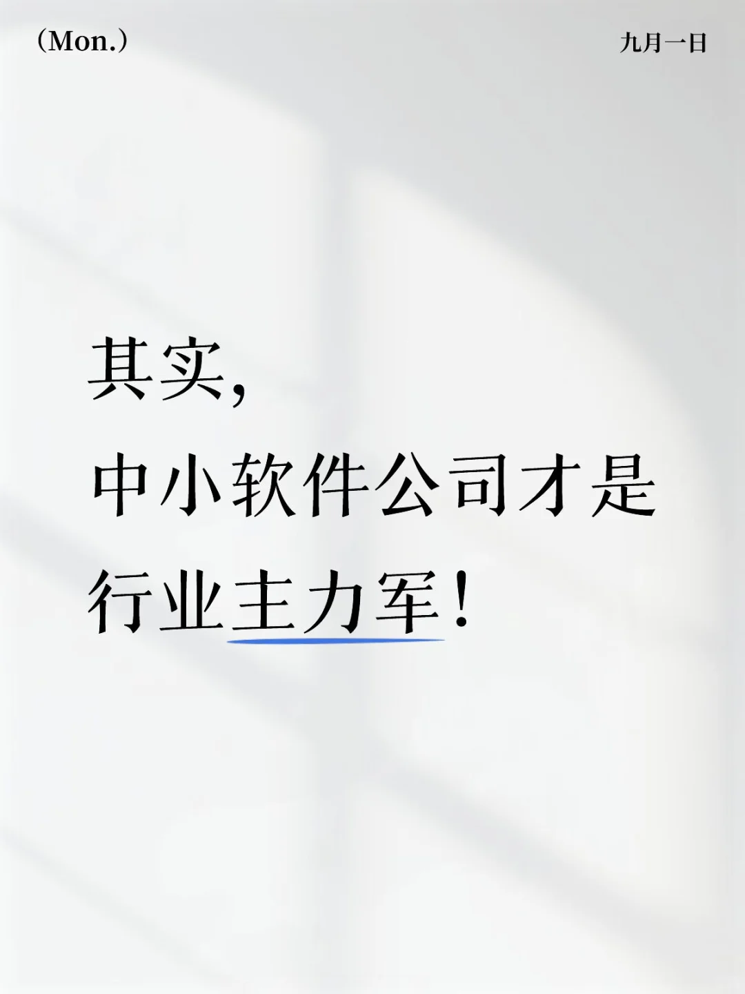 其实,中小软件公司才是咱们行业的主力军!