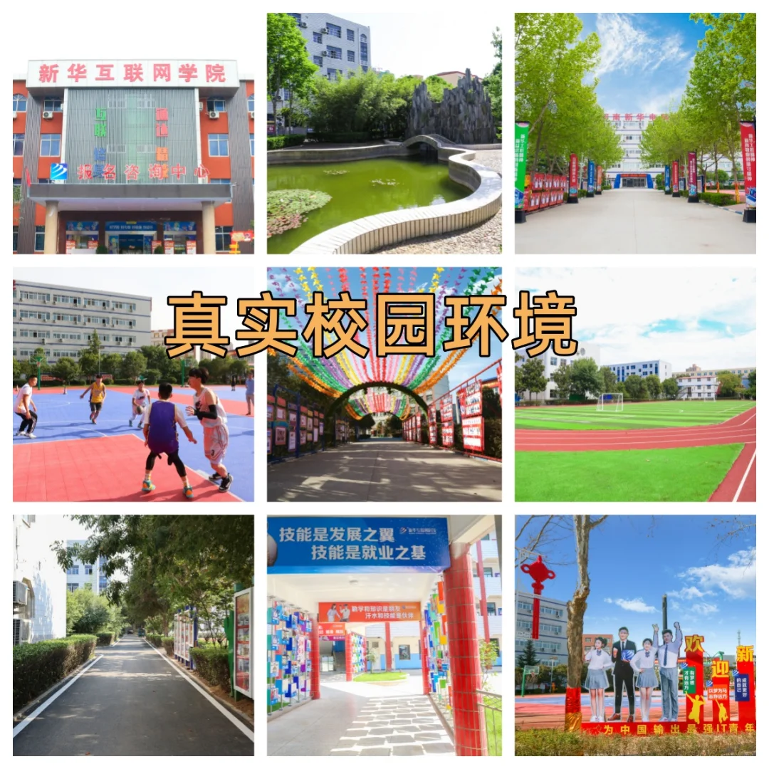 智能机器人+机电一体化,学完也能当技术大神