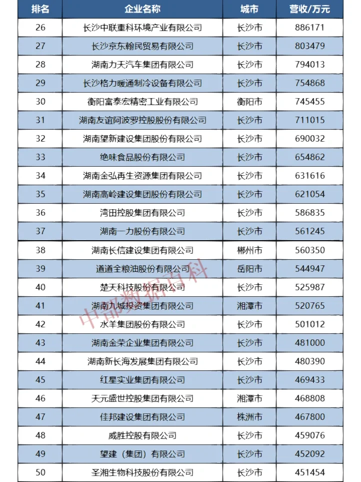 2022年湖南省民营企业100强榜单