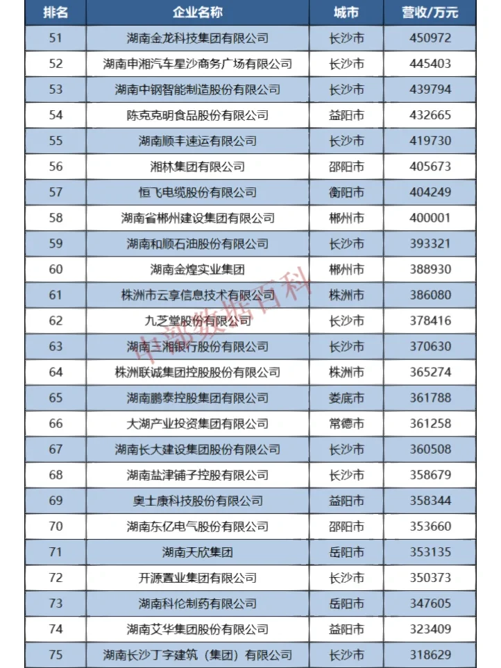 2022年湖南省民营企业100强榜单