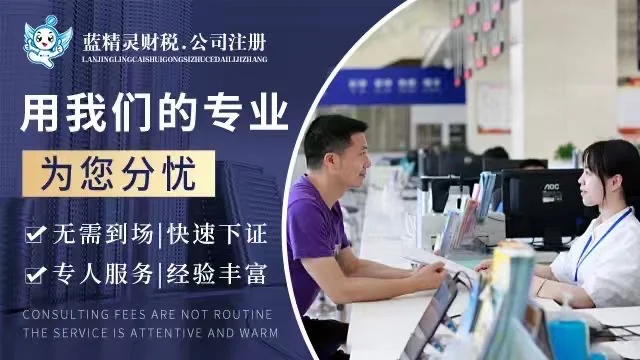 蓝精灵财税,专业高效的一站式企业服务