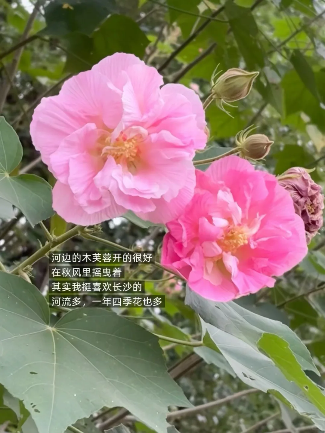 我的十一月:写作,见朋友,饮酒,老派生活