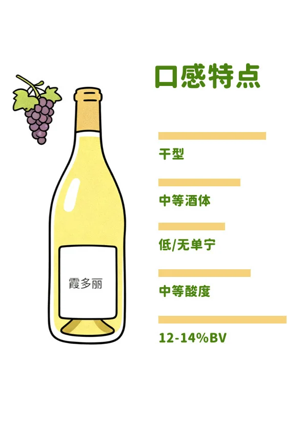 葡萄酒小白必看!霞多丽入门指南?