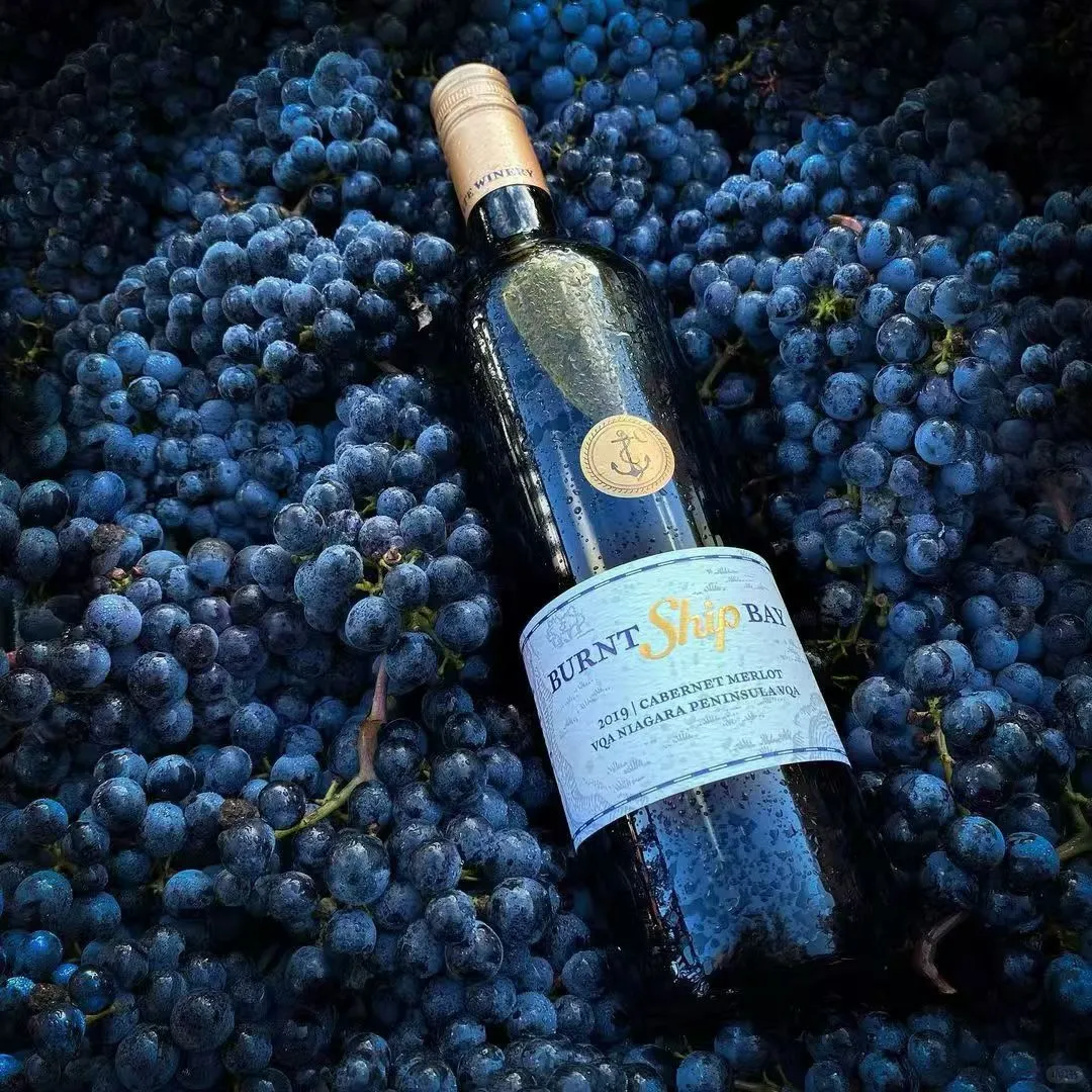 来自加拿大的葡萄酒-烧船湾 珍藏干红?