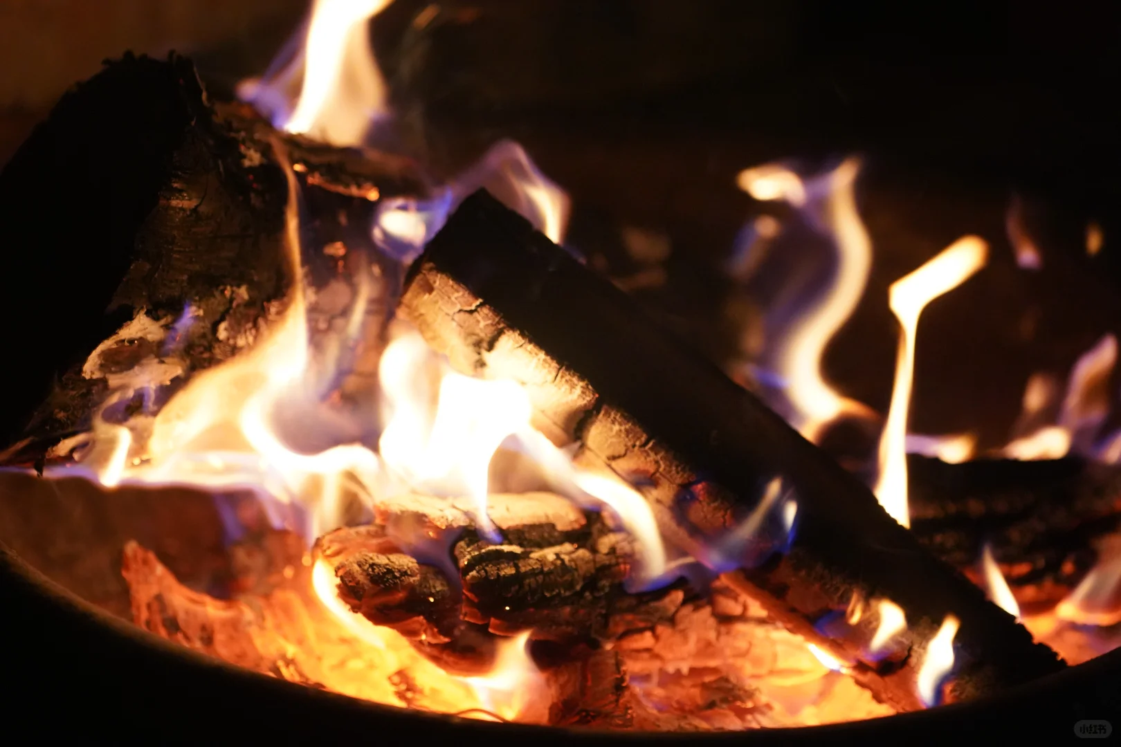 景德镇wine bar周五葡萄酒畅饮