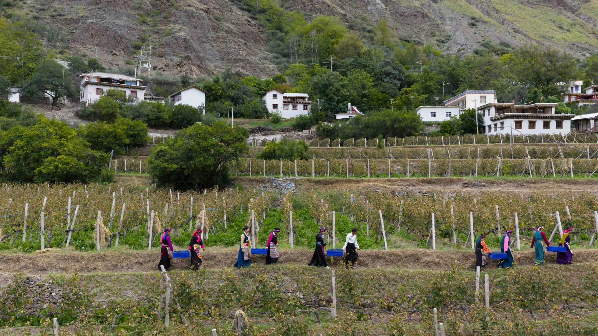 葡萄酒圈95%没有风土只有风格