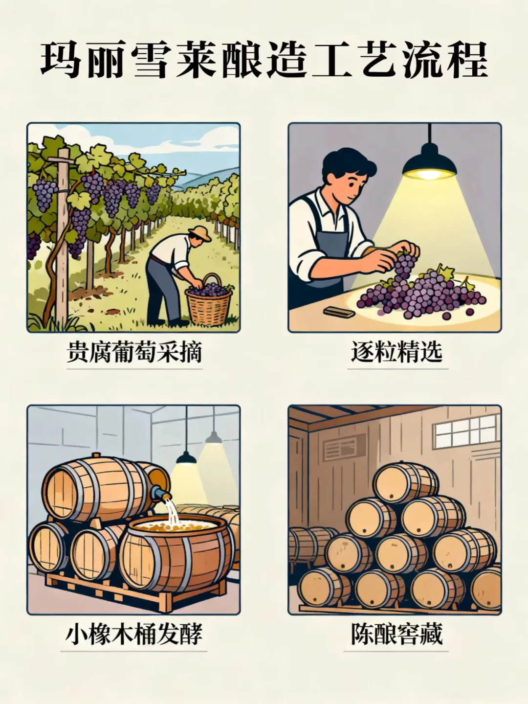 发霉葡萄→液体黄金？贵腐酒的秘密太绝了！