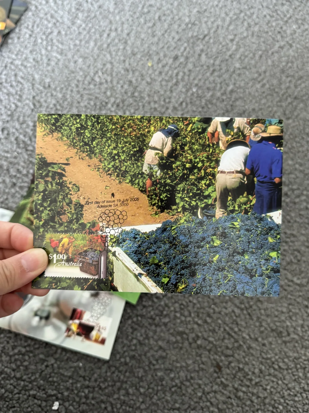 ???澳洲极限片-葡萄酒??