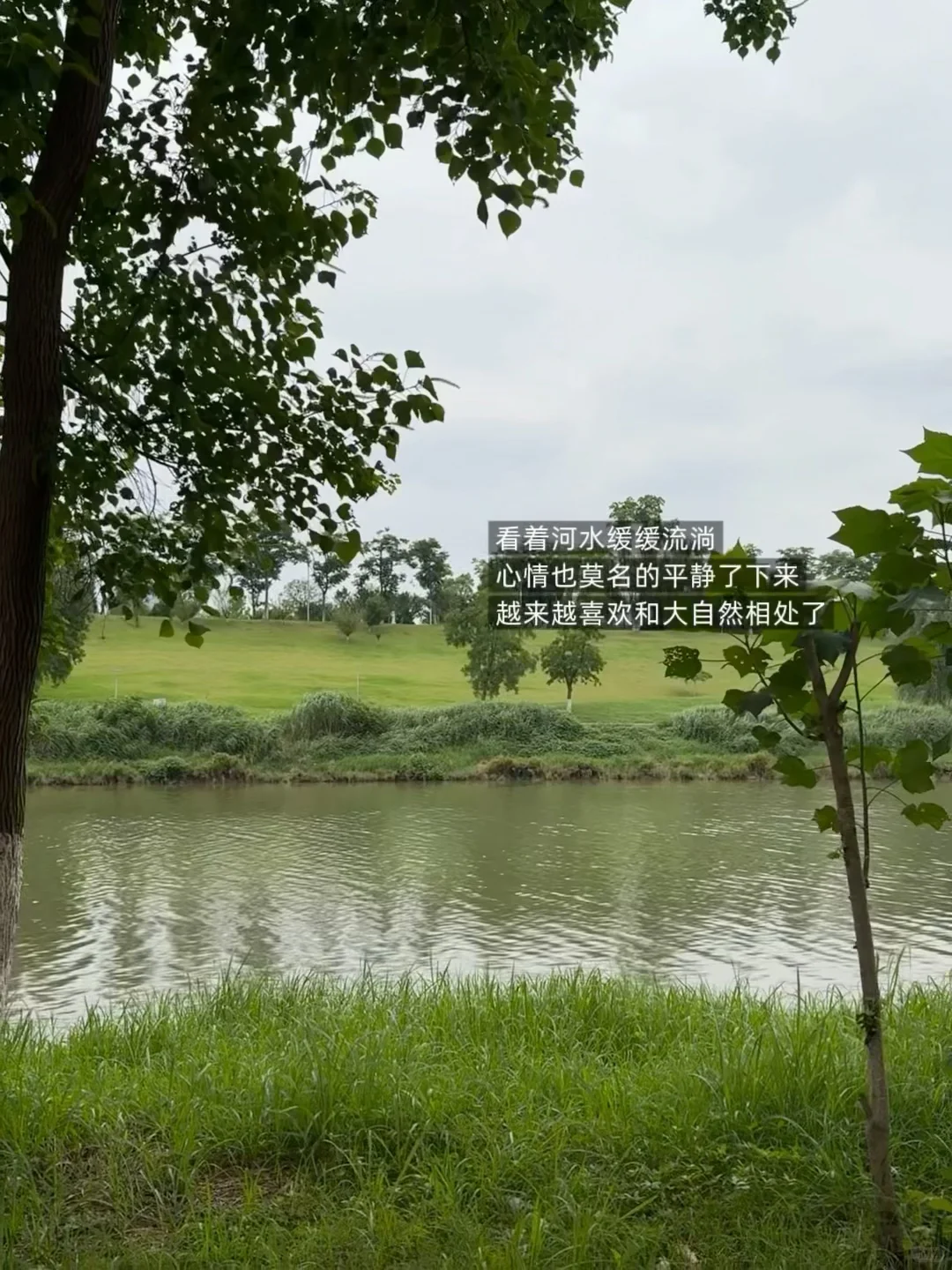 我的十一月:写作,见朋友,饮酒,老派生活