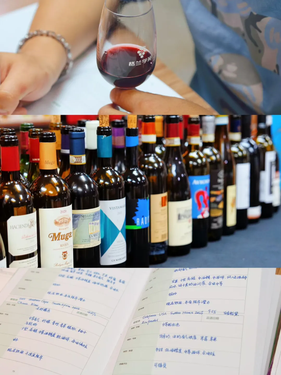 WSET三级葡萄酒☞开课预告☞召集发烧友