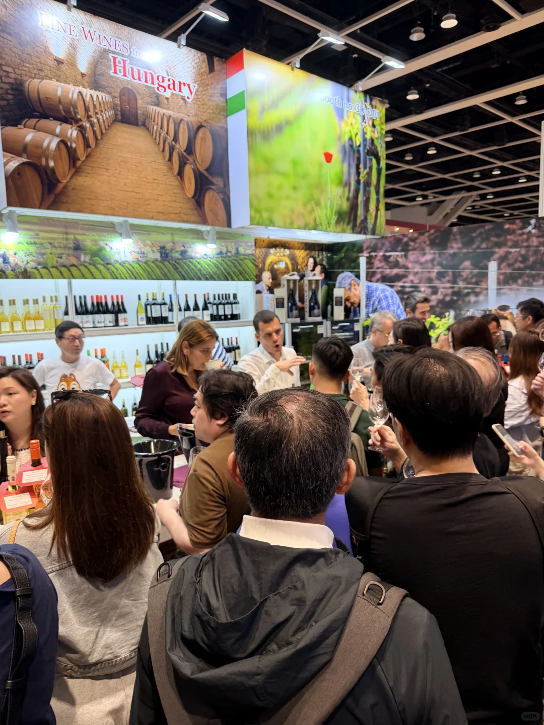 11月香港美酒展?喝晕啦！！