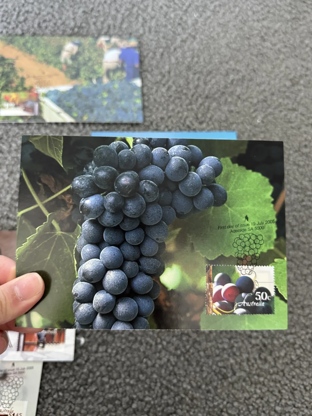 ???澳洲极限片-葡萄酒??