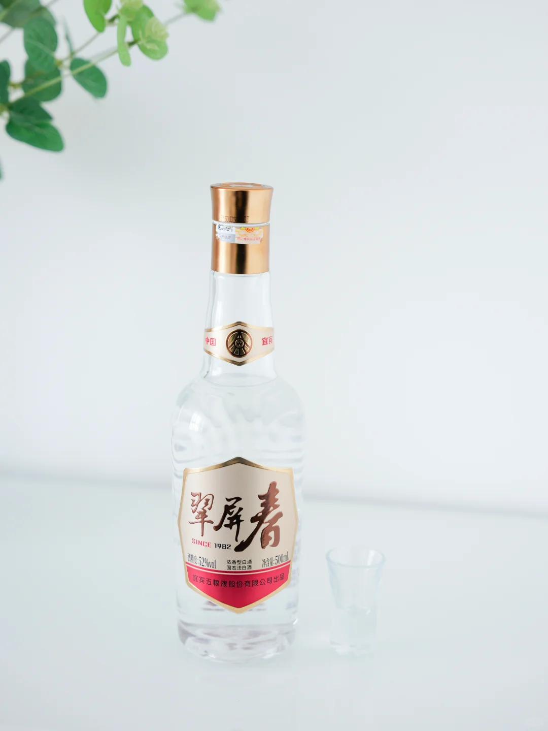 我的十一月:写作,见朋友,饮酒,老派生活