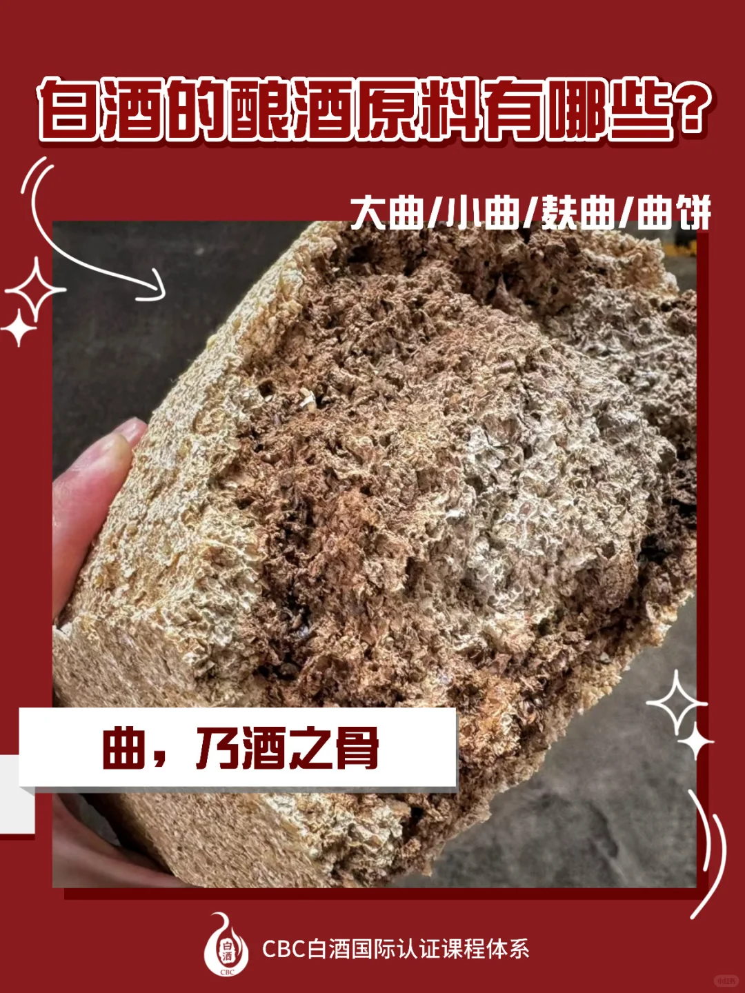 离谱?‍♀️大曲真的比头都大，小曲比手指都小