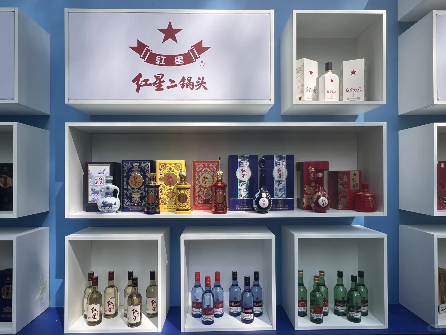 红星闪耀，实力出圈！