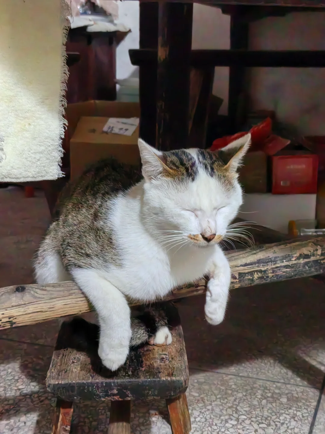 第一次全过程记录家乡的天然手工酿造高粱酒