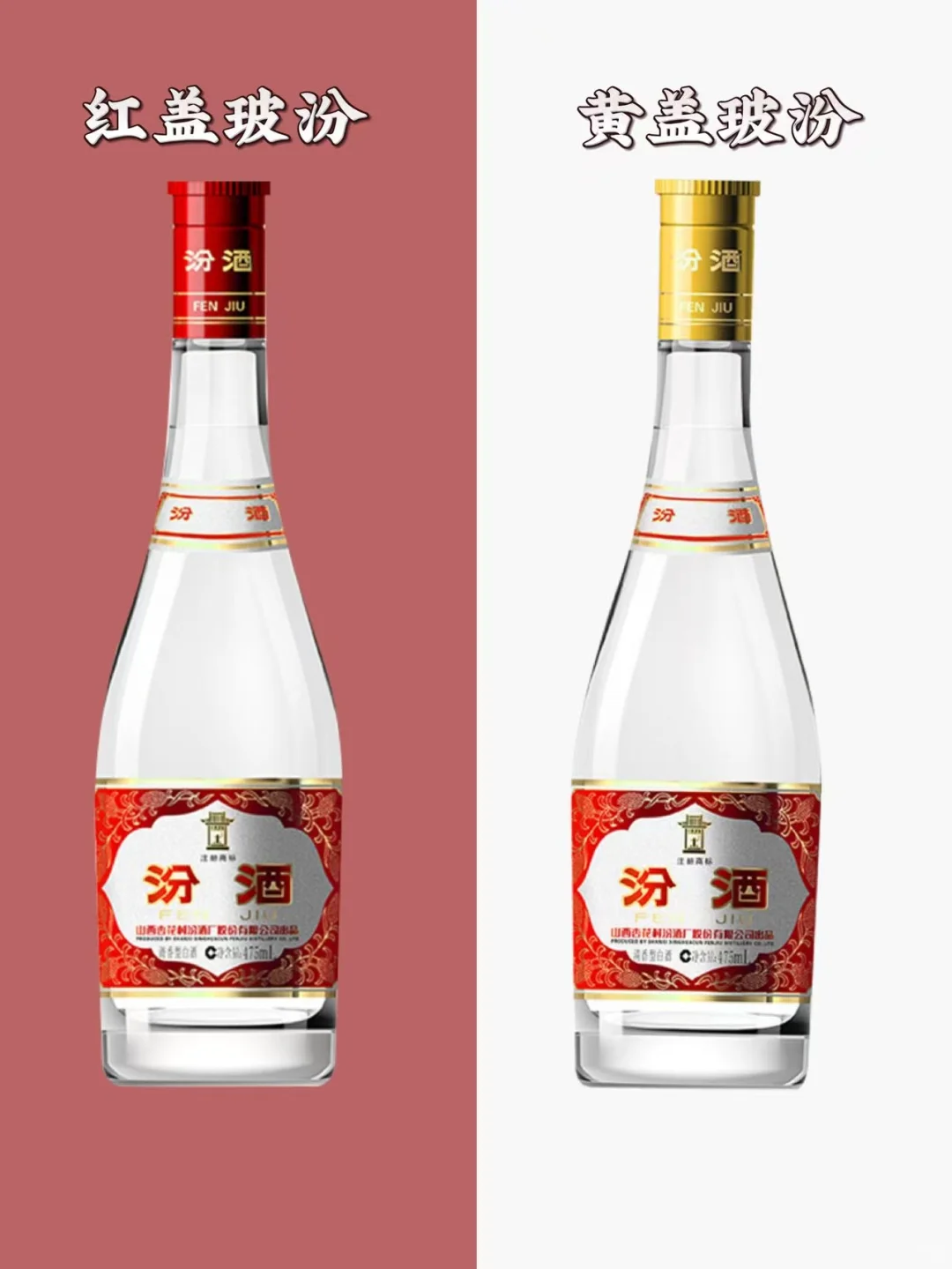 喝这么多年酒,黄盖和红盖区别这么大?