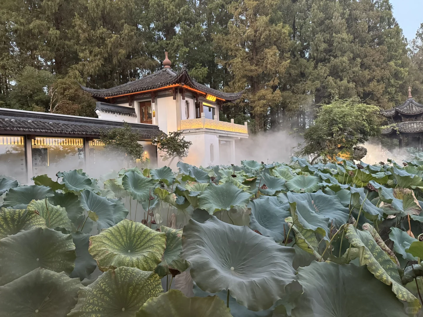 茅15评鉴活动