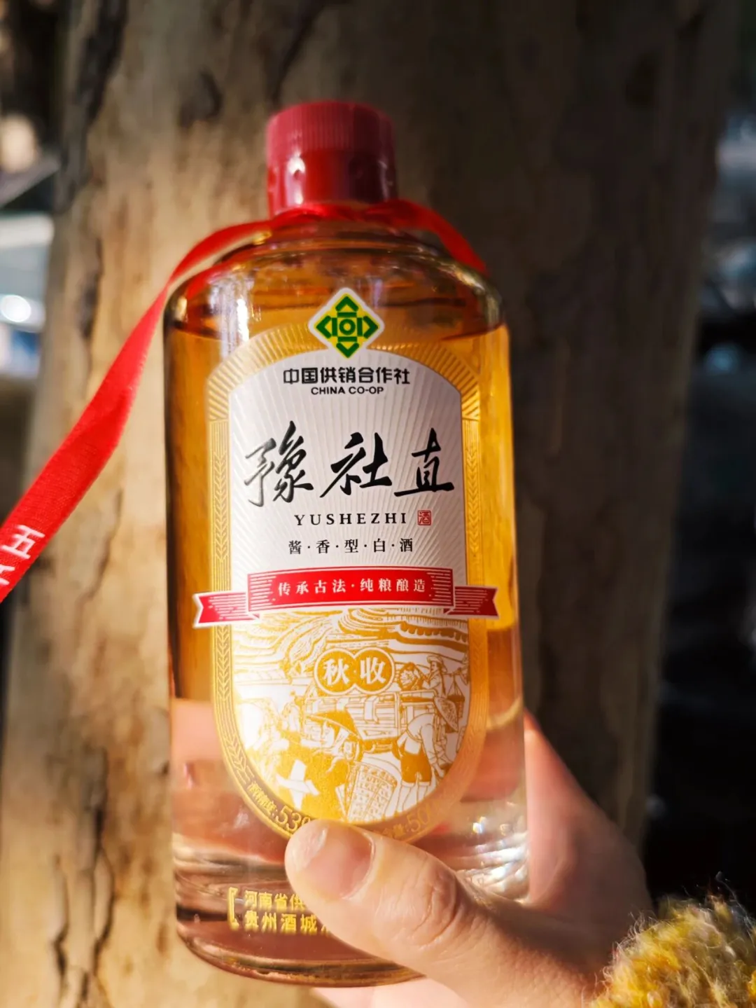 河南老乡们!这瓶口粮酒我直接按箱囤!